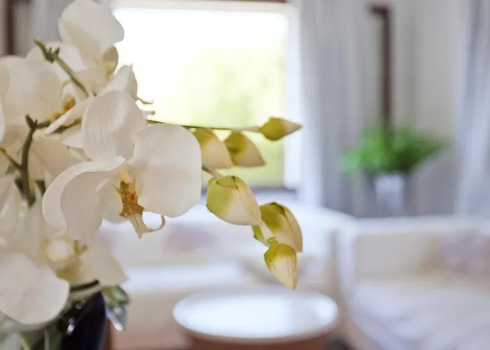 Villa Seguinot Port de Pollença