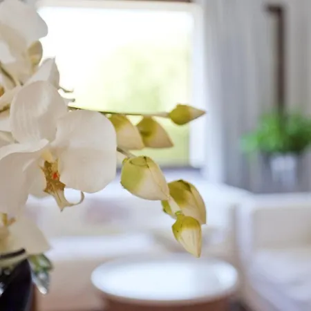 Вілла Seguinot Порт-де-Польєнса